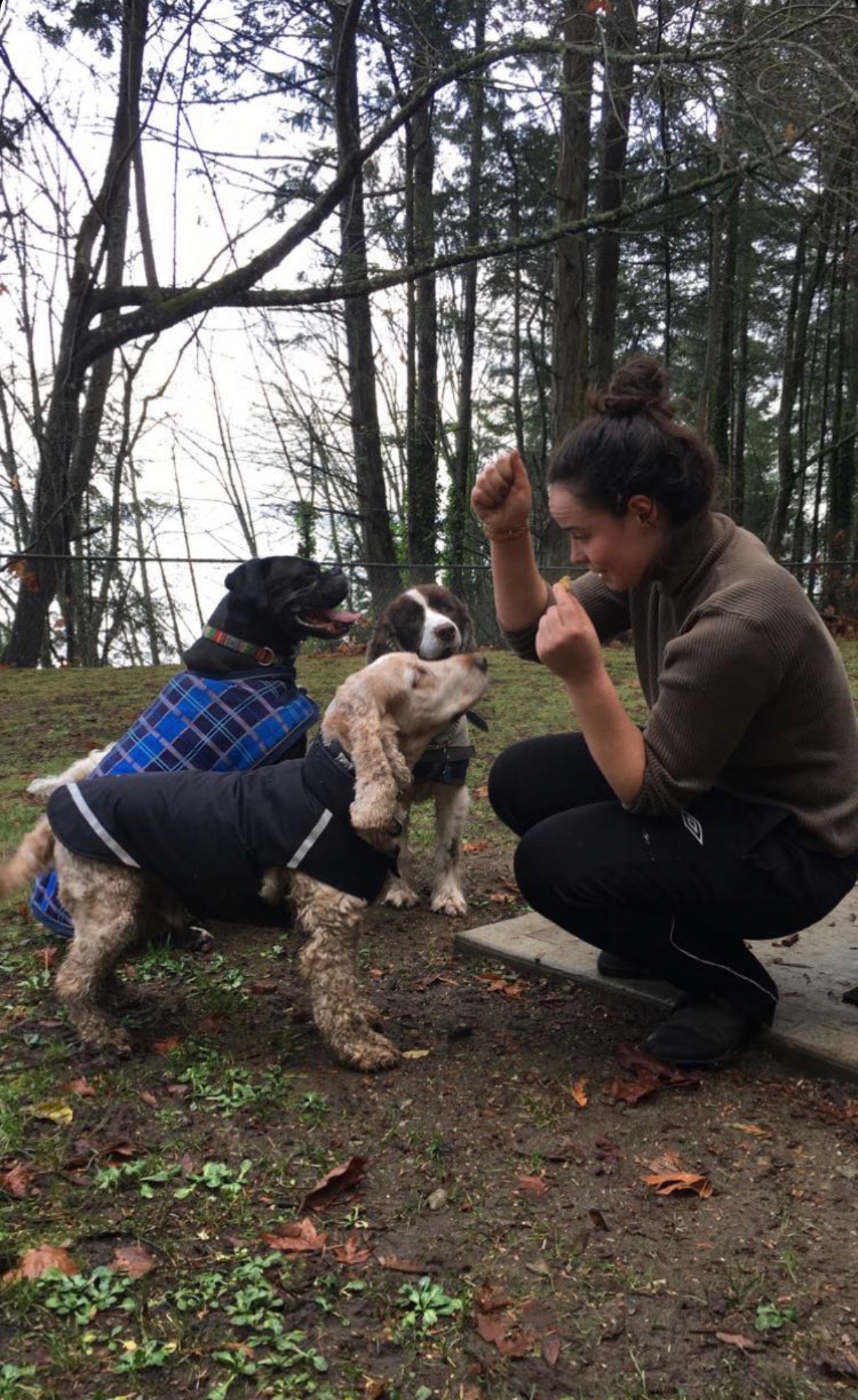 Taylor kneels down, surrounded by three dogs, with trees and the ocean in the background.